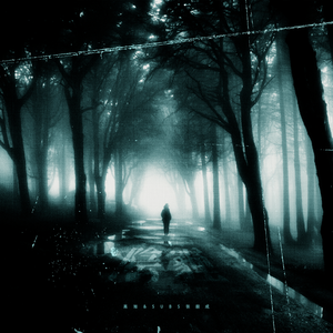 91网站免费入口永久
